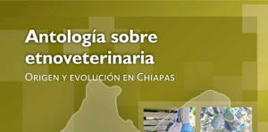 Antología sobre etnoveterinaria, origen y evolución en Chiapas