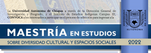 Convocatoria MEDCES 2022